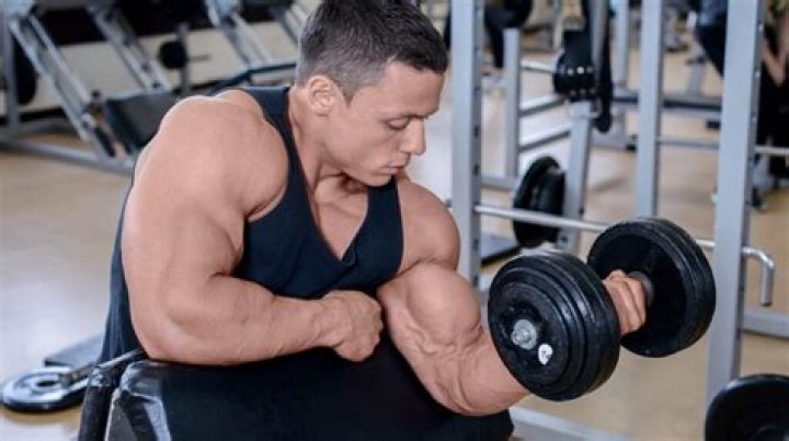 Are 17 biceps big?