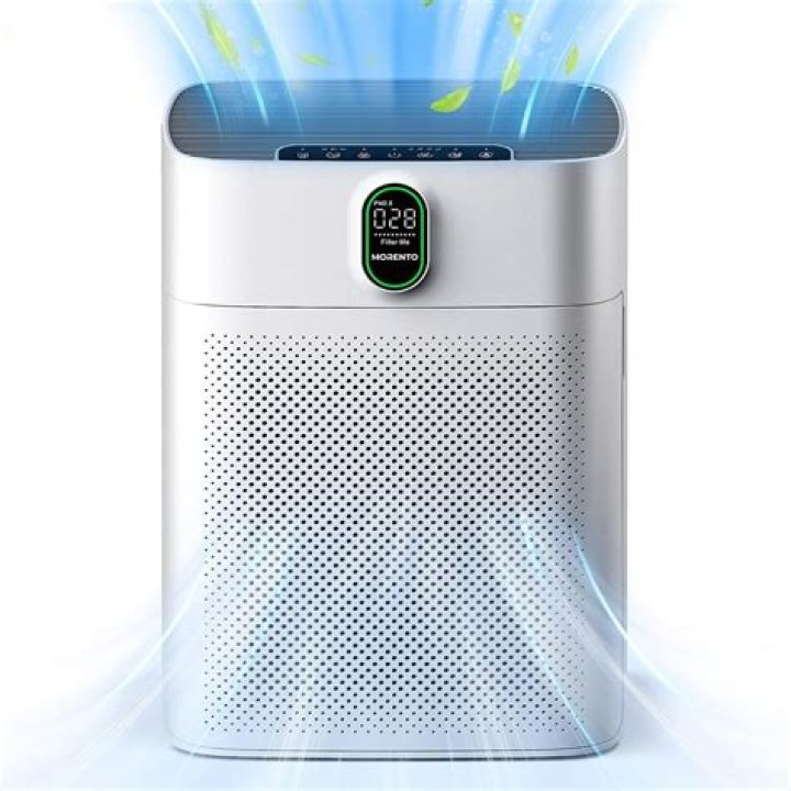 Are air purifiers good for bedrooms?