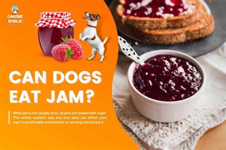 Are cherry bad for dogs?