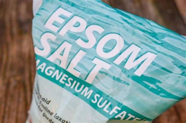 Are Epsom salts OK for septic?