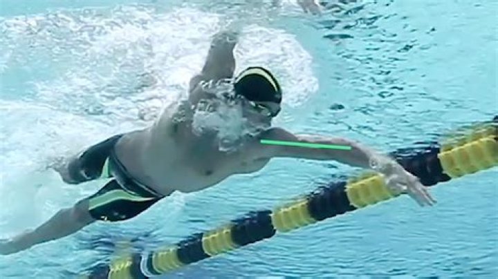 Are legs or arms more important in swimming?