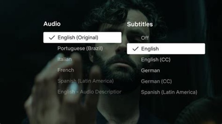 Are Netflix subtitles accurate anime?