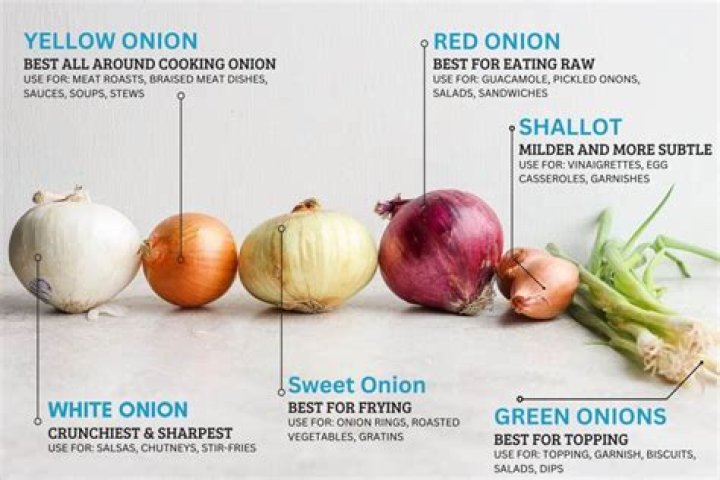 Are onions high in fiber?