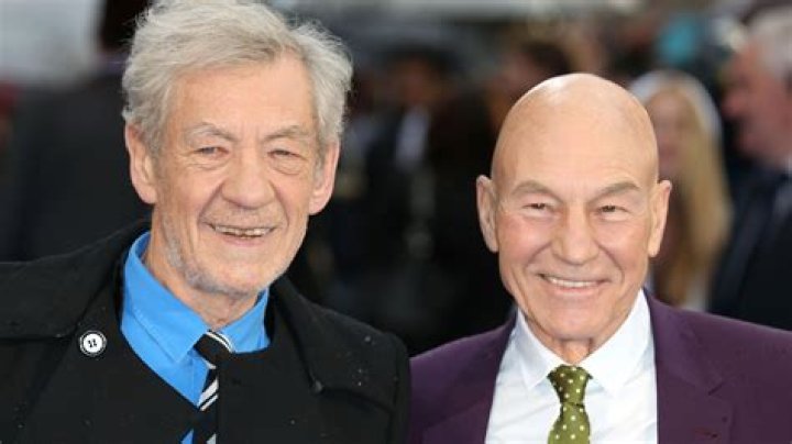 Are Patrick Stewart and Ian McKellen friends?