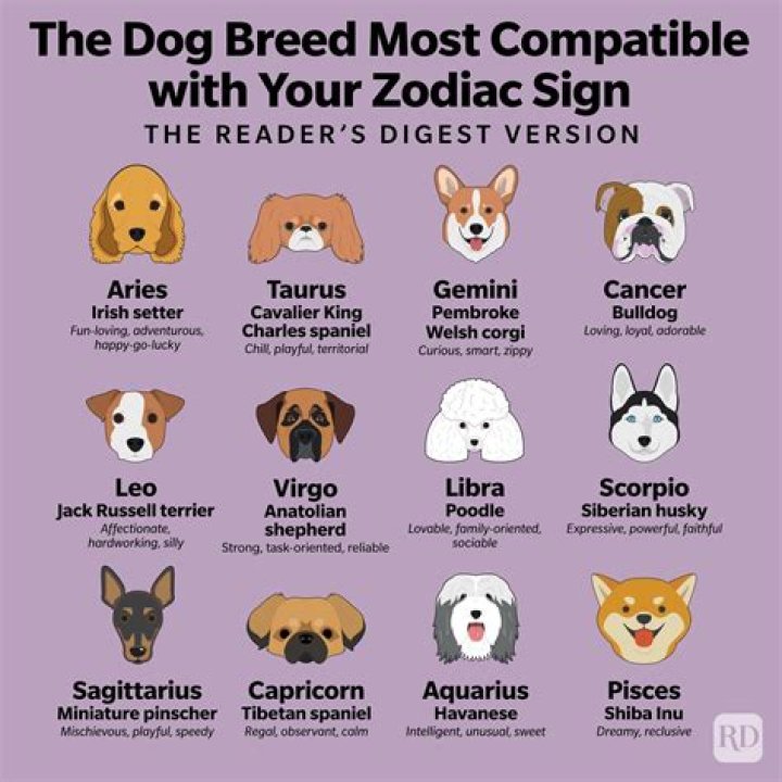 Are Pisces good with dogs?