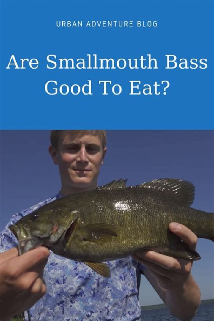 Are smallmouth bass good to eat?