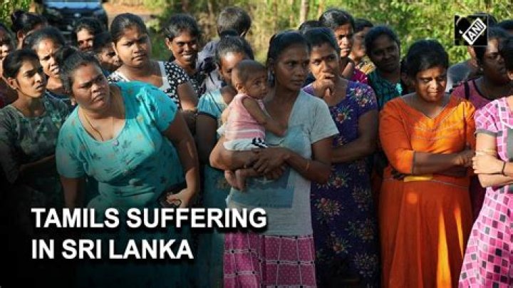 Are Tamils from Africa?
