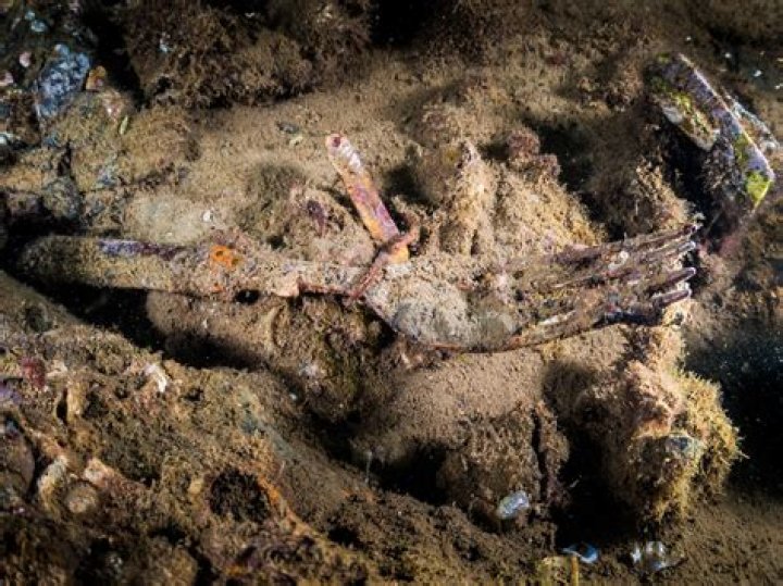 Are there still bodies in USS Arizona?