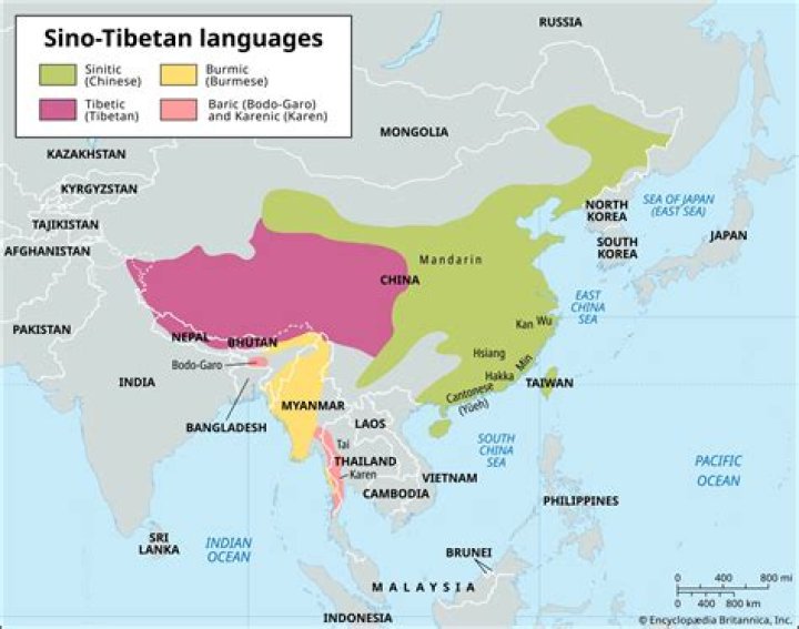 Are Tibetans related to Chinese?