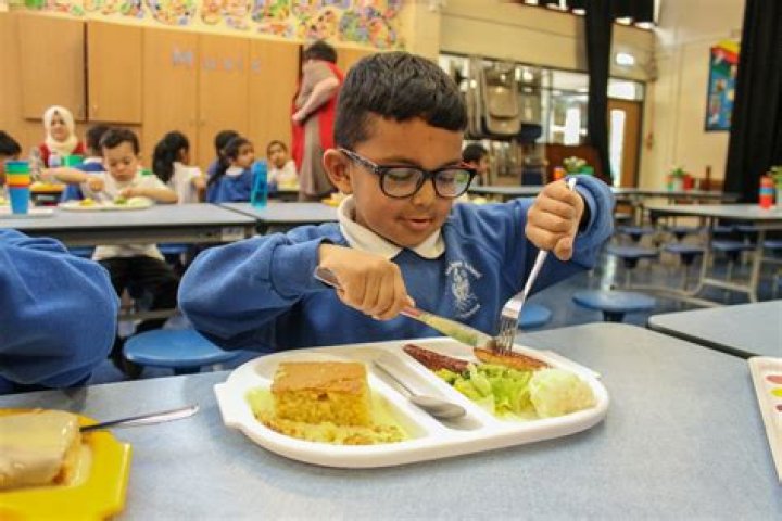 Are UK school meals healthy?