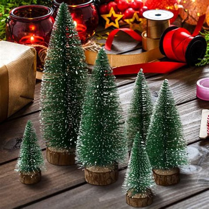 Are Xmas trees edible?