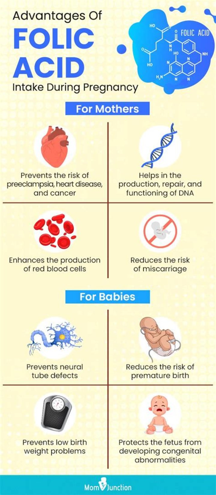 At what stage of pregnancy is folic acid most important?