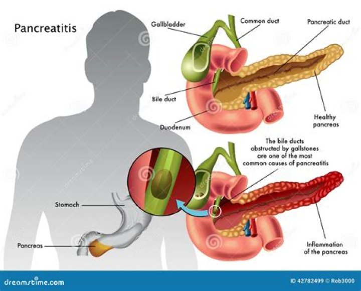 Can a pancreas heal itself?