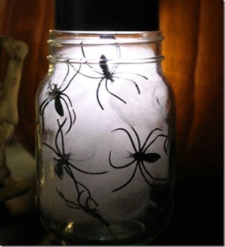 Can a spider survive in a jar?