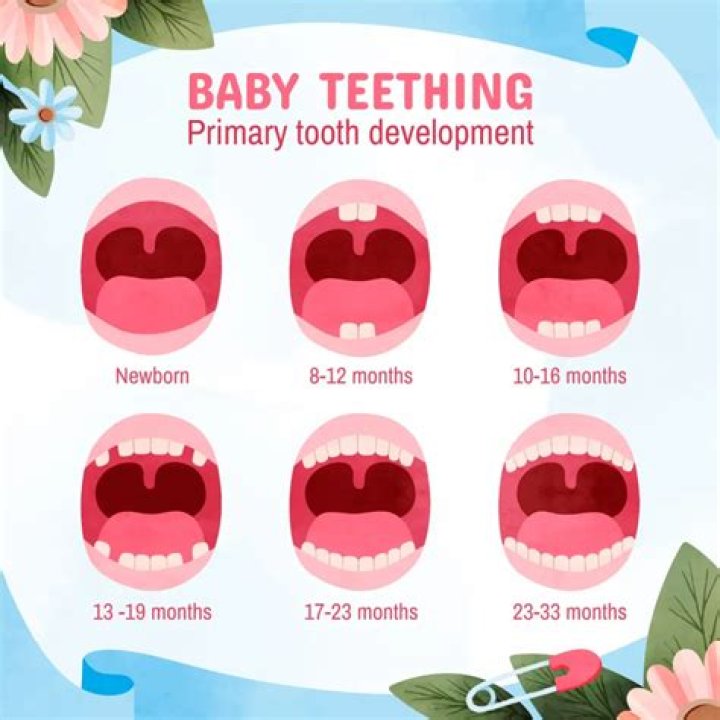 Can babies have more than 20 teeth?