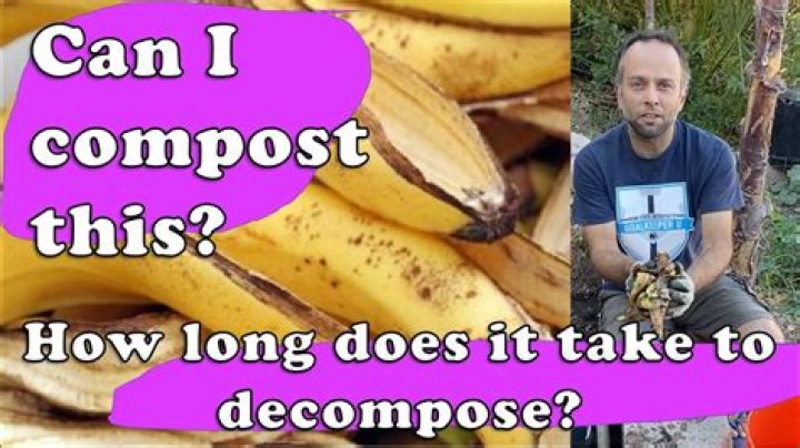 Can banana skins be composted?