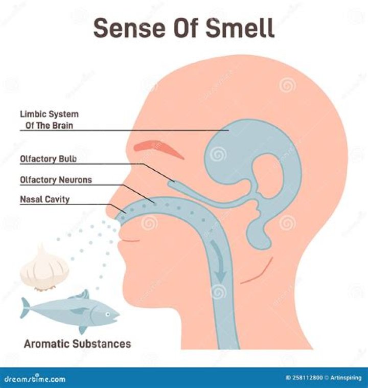 Can COVID alter your smell?