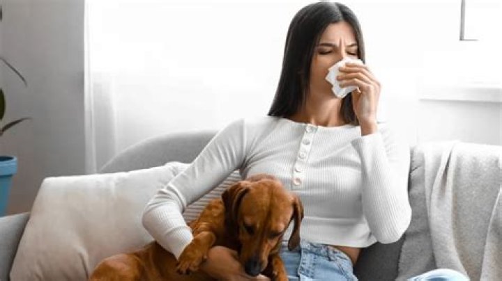 Can dogs know when you are sick?