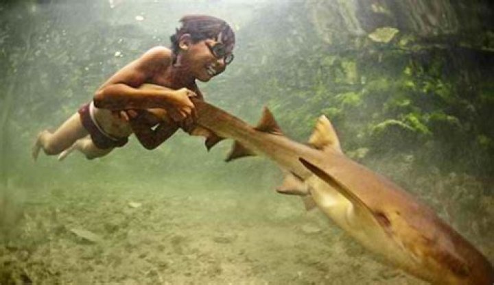 Can humans live in water?