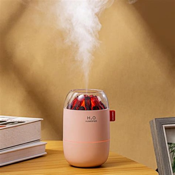 Can humidifiers help with mold?