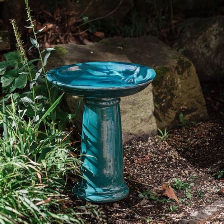 Can I add bleach to bird bath?