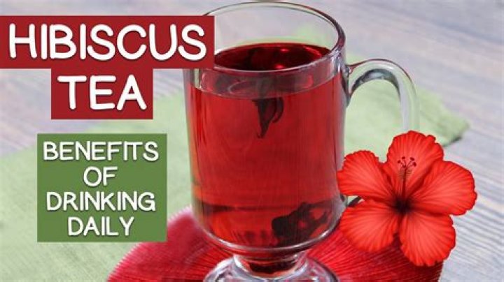 Can I drink hibiscus tea daily?