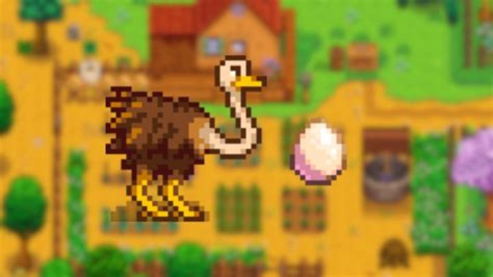 Can I hatch a Void Egg Stardew Valley?