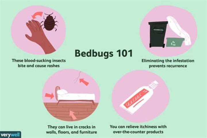 Can I hug someone with bed bugs?