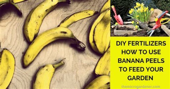 Can I just throw banana peels in my garden?