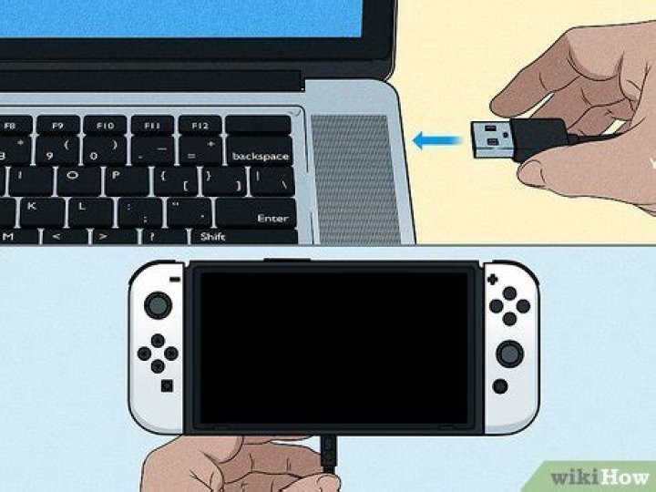 Can I plug my switch into my PC?