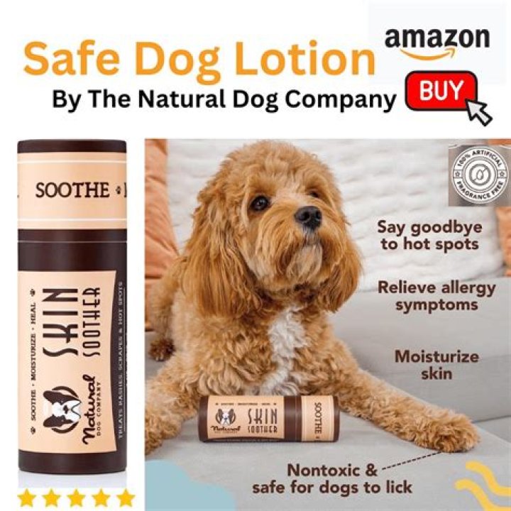 Can I put lotion on my dog?