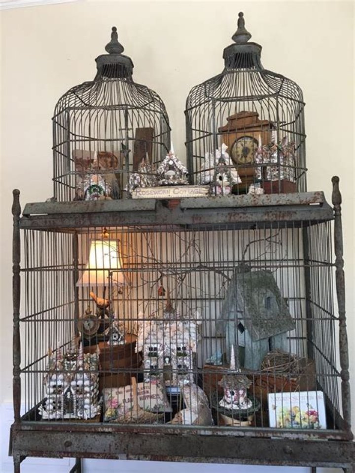 Can I use newspaper in my bird cage?
