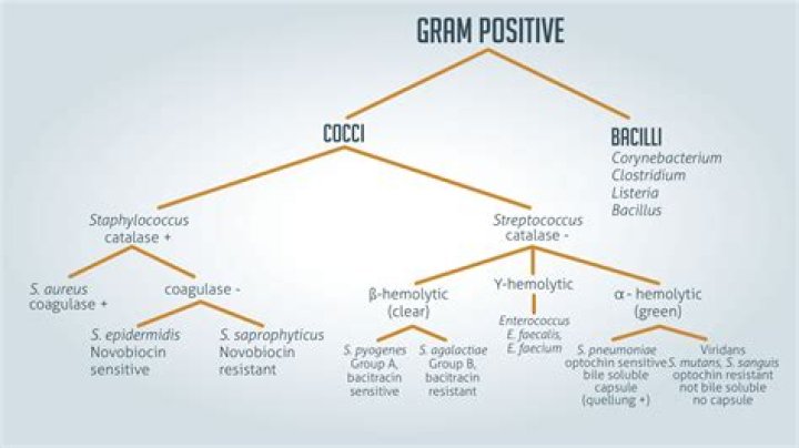 Can induced drag be negative?