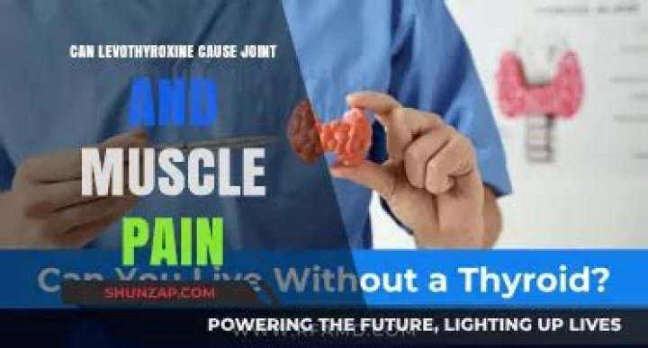 Can levothyroxine cause leg pain?