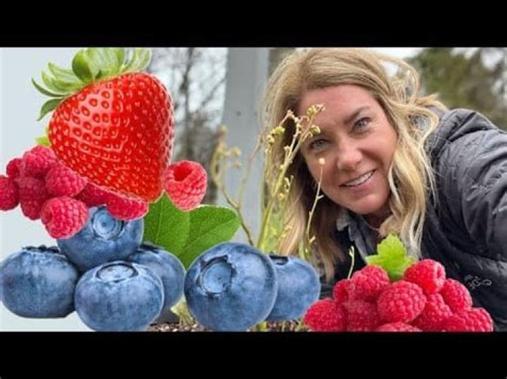 Can raspberries and strawberries be planted together?