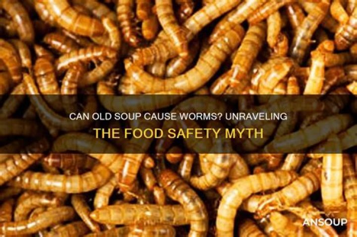 Can raw food cause worms?