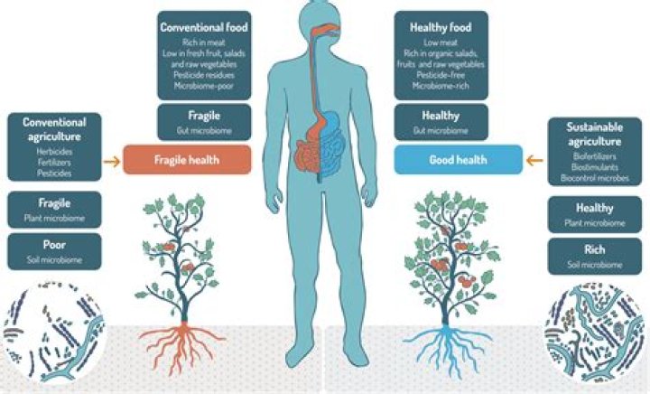 Can skin issues be related to gut health?
