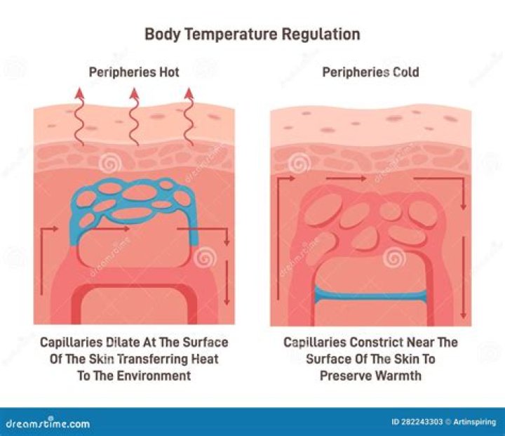 Can sweating make skin glow?