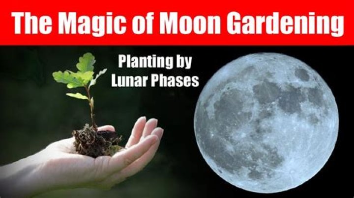 Can we plant trees on moon?