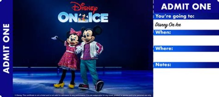 Can you bring diaper bag to Disney On Ice?