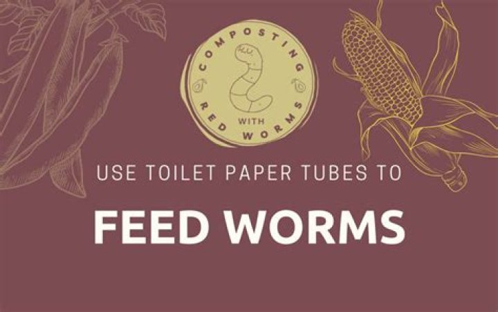 Can you compost toilet roll tubes?