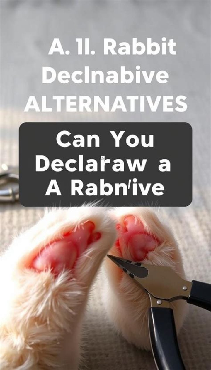 Can you declaw a rabbit?