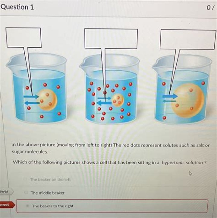 Can you drink water that has been sitting in a hot car?