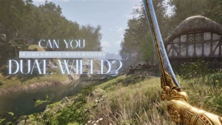 Can you dual wield swords in New World?
