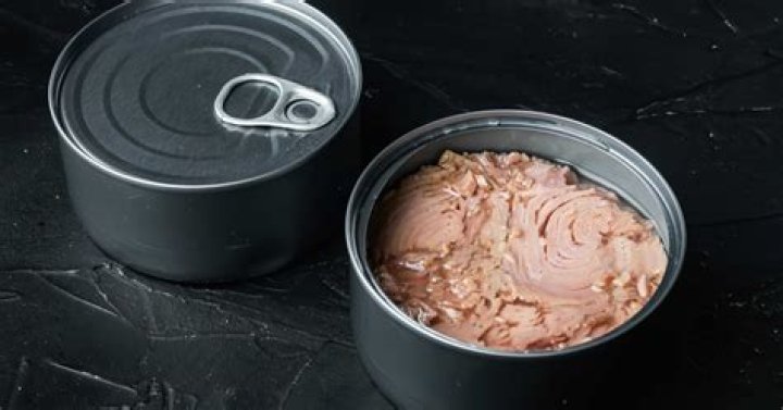 Can you eat tuna while pregnant?