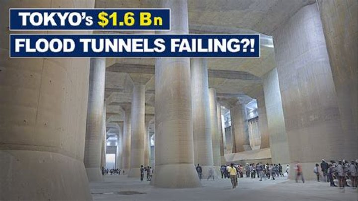 Can you flood mole tunnels?
