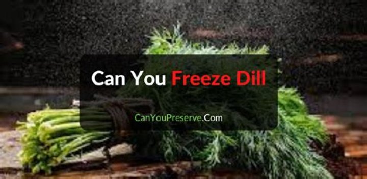 Can you freeze dill?