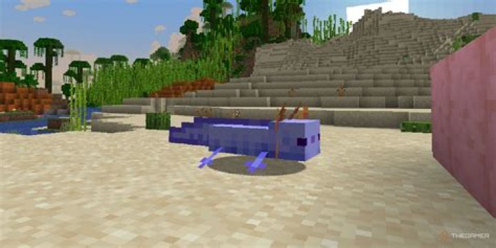 Can you get a blue axolotl through spawn egg?