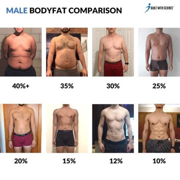 Can you get abs in 3 months?