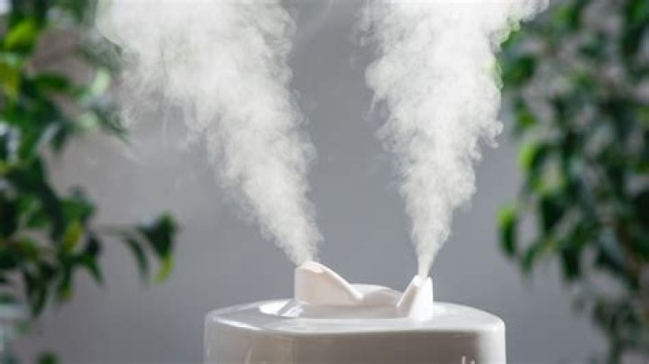 Can you get sick from using a humidifier?